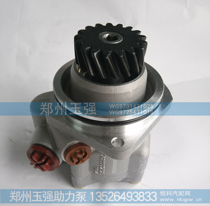 WG9731471025/1 转向助力叶片泵