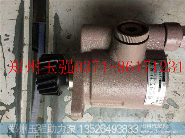 转向泵 DZ9100130028