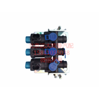 H4366040031A0