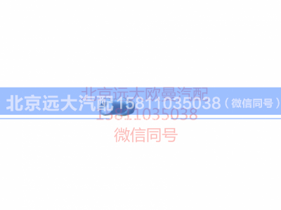 H4371040002A0,右前示廓灯,北京远大汽车配件有限公司