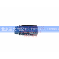 H4381010001A0,组合仪表,北京远大汽车配件有限公司