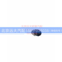 H4381020007A0