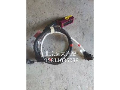 H436200001607A2299,变速箱线束总成,北京远大汽车配件有限公司