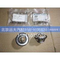 C5256423恒温器C5256423