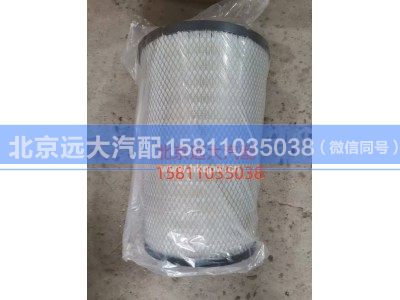 H4119218014A0,空氣濾芯,北京遠(yuǎn)大汽車配件有限公司
