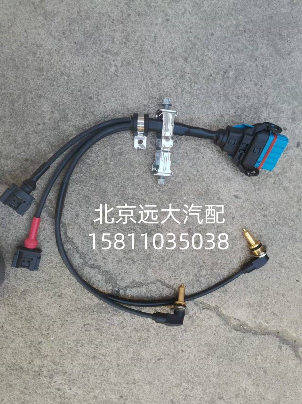 0501.224.004W0077液緩線束0501.224.004W0077/0501.224.004W0077