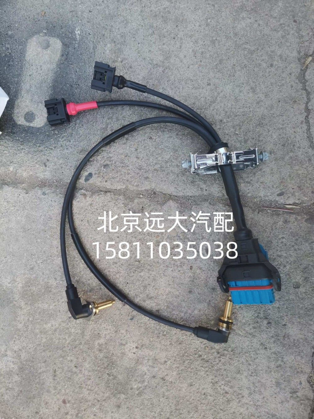 0501.224.004W0077液緩線束0501.224.004W0077/0501.224.004W0077