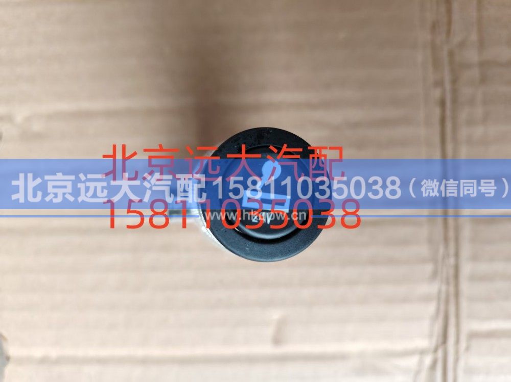 H4378060001A0,点烟器GTL高仿,北京远大汽车配件有限公司