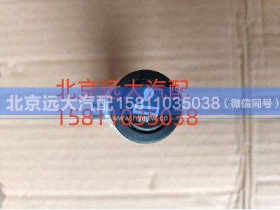 H4378060001A0,点烟器GTL高仿,北京远大汽车配件有限公司