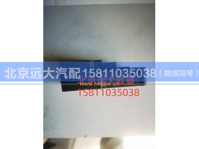 H4811010009A0A0943,模式伺服電機(jī),北京遠(yuǎn)大汽車配件有限公司