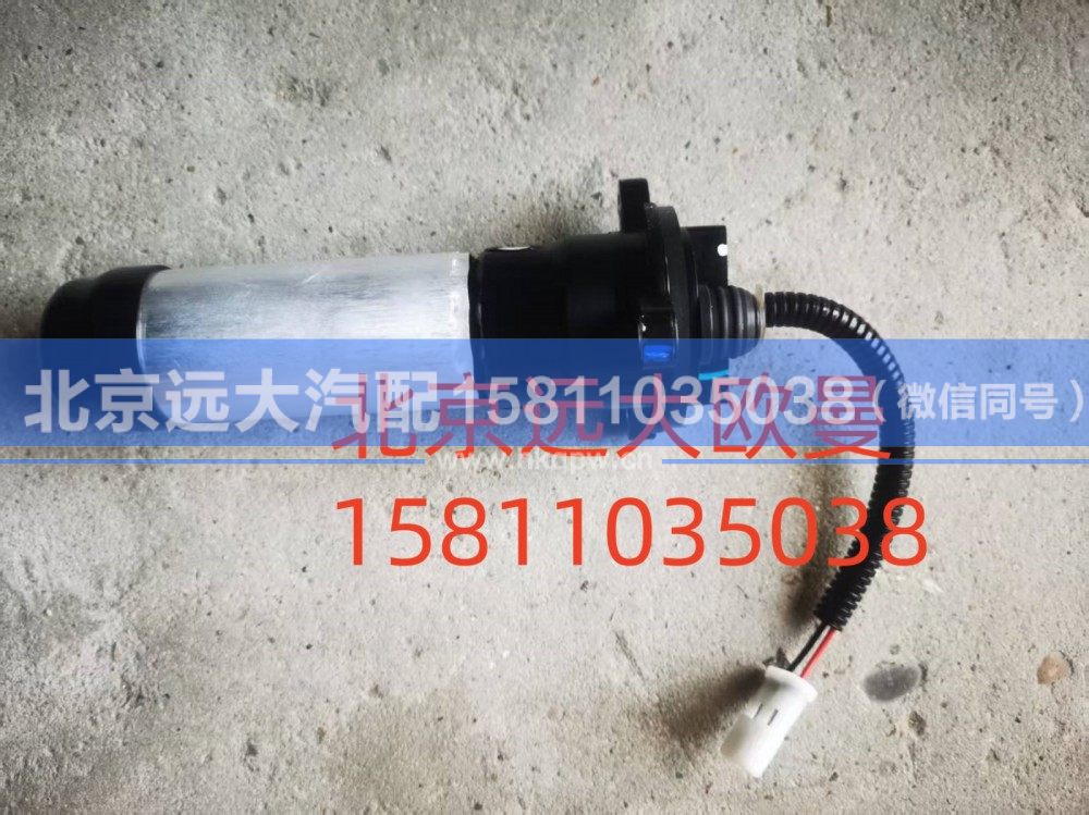 H411000000528A02076,电泵组件,北京远大汽车配件有限公司