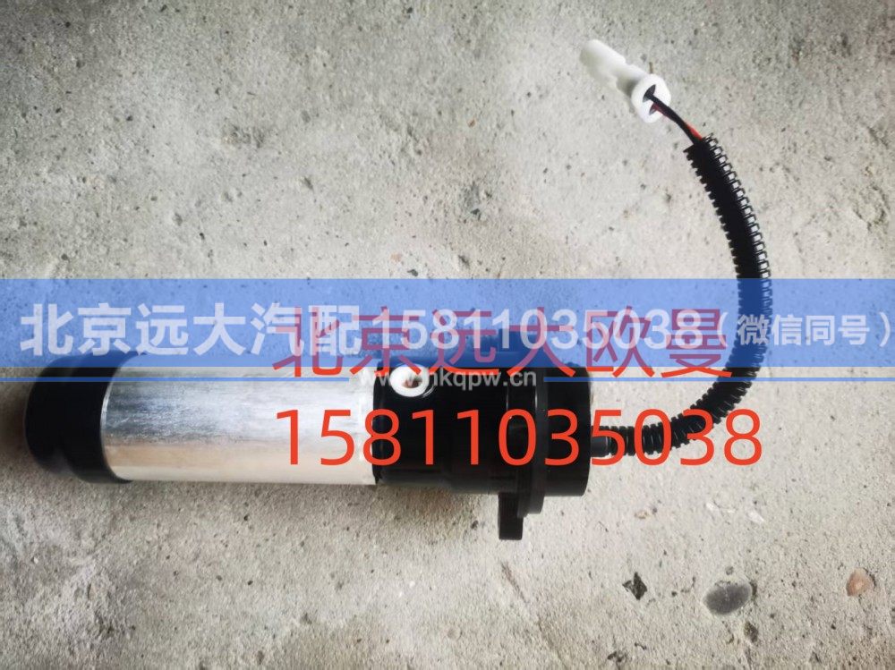 H411000000528A02076,电泵组件,北京远大汽车配件有限公司