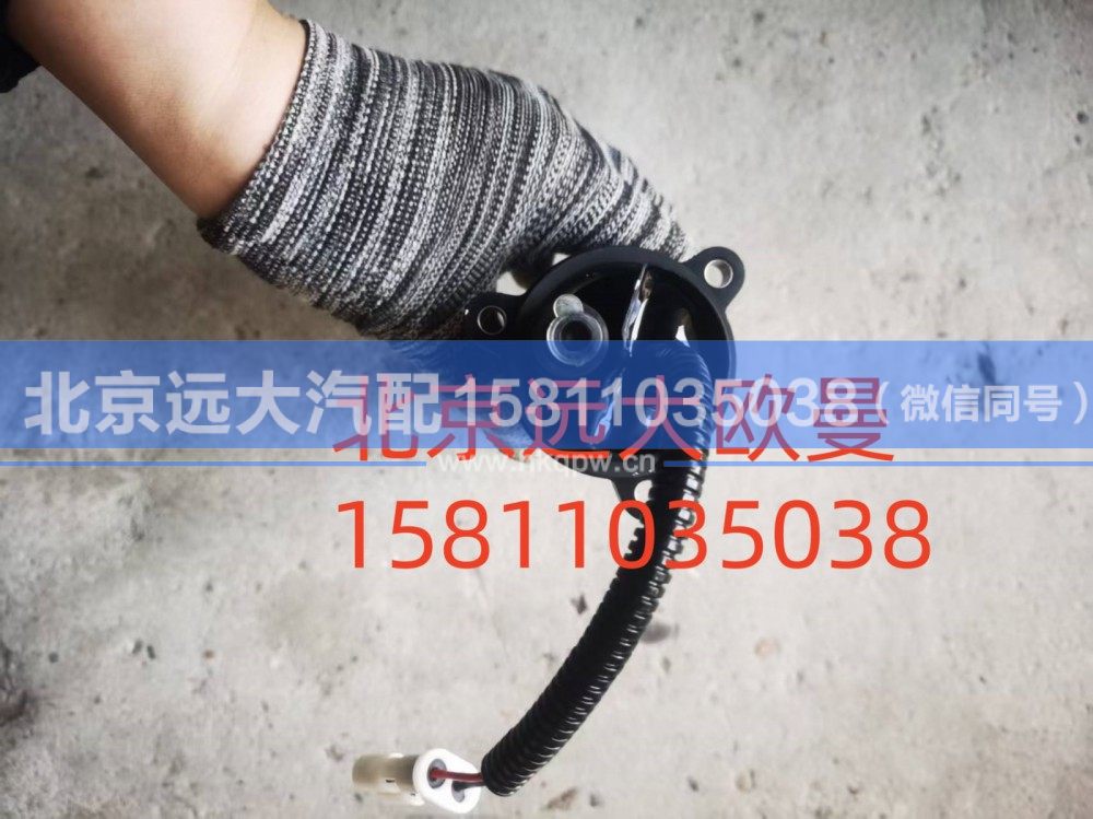 H411000000528A02076,电泵组件,北京远大汽车配件有限公司