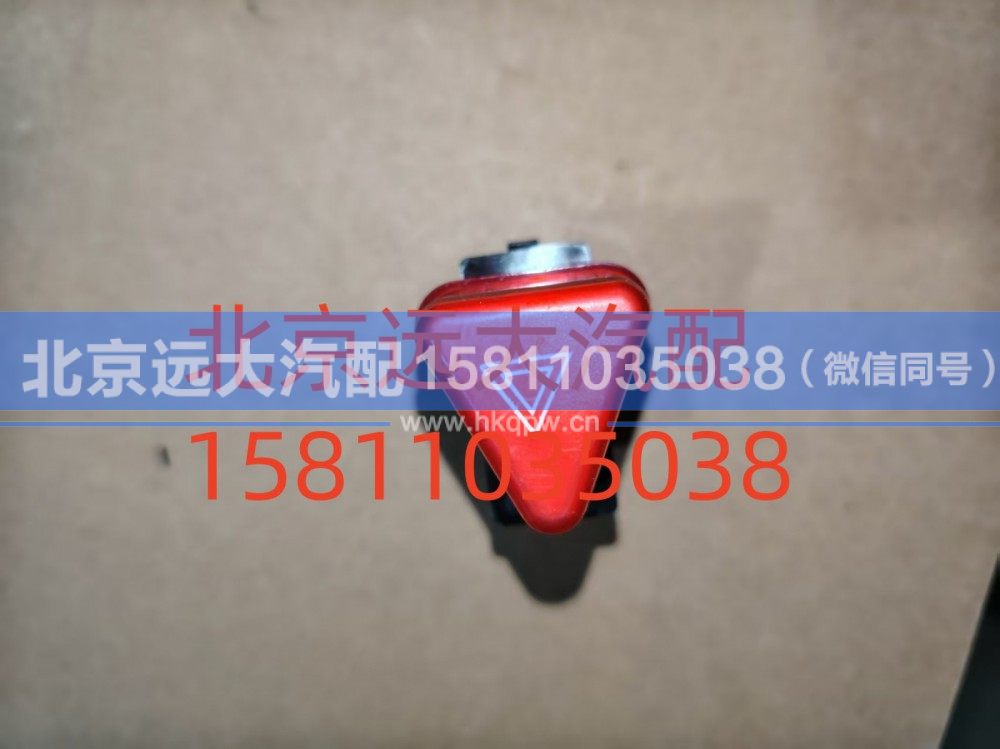 危险报警开关H4373090001A0