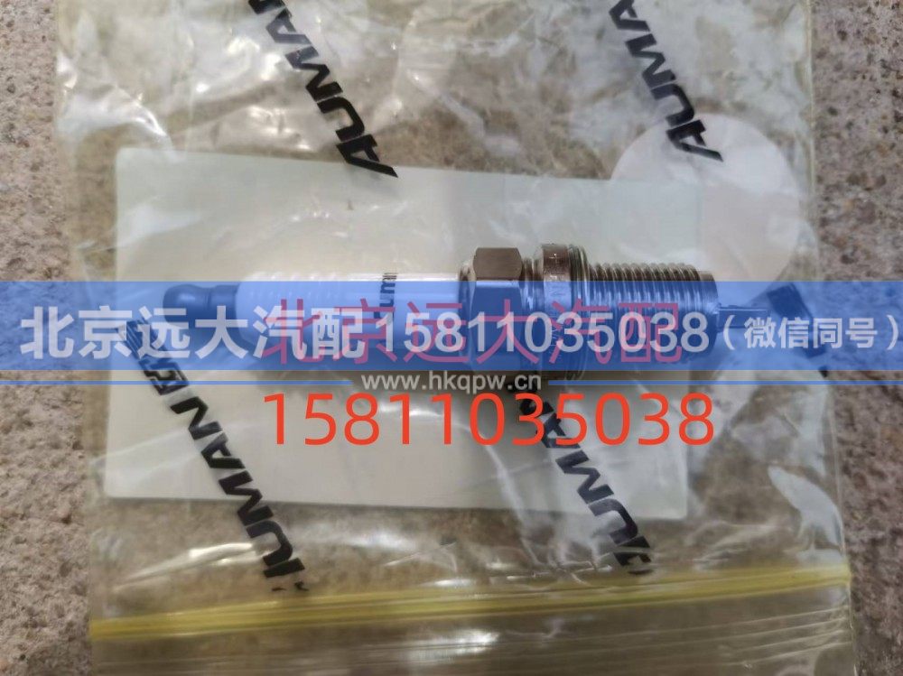 S4384910A2080,火花塞,北京远大汽车配件有限公司