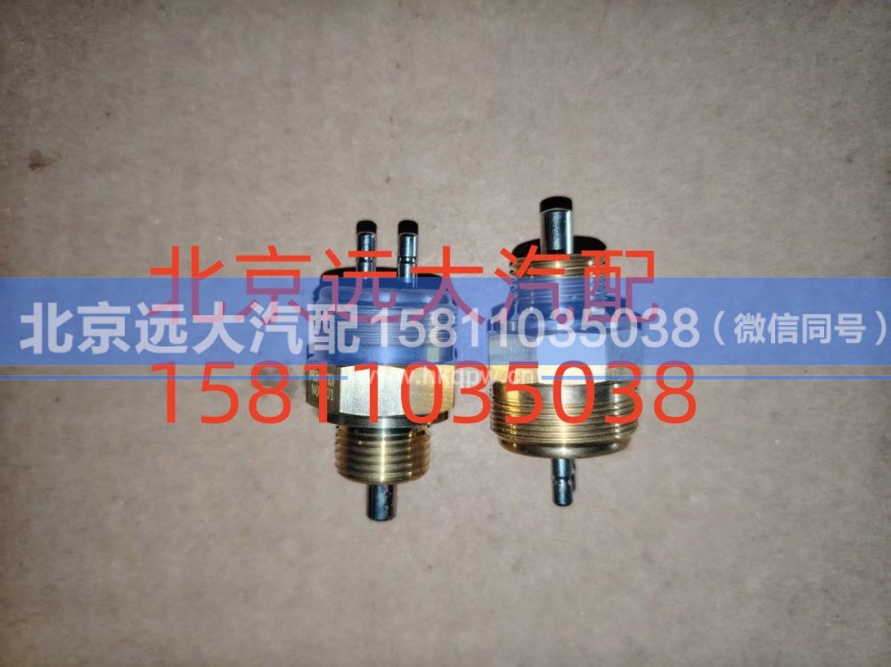 300S1-2511011A,后桥差速锁压力开关,北京远大汽车配件有限公司