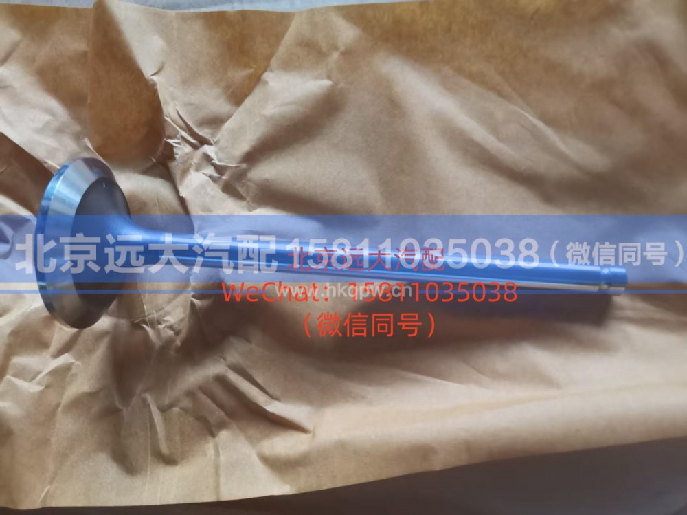 3697156排气阀