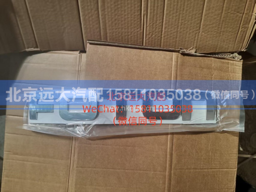 H4505010001A0FOTON前标(H4)