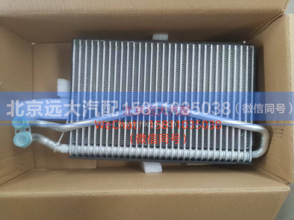 H4812010001A0蒸发器总成
