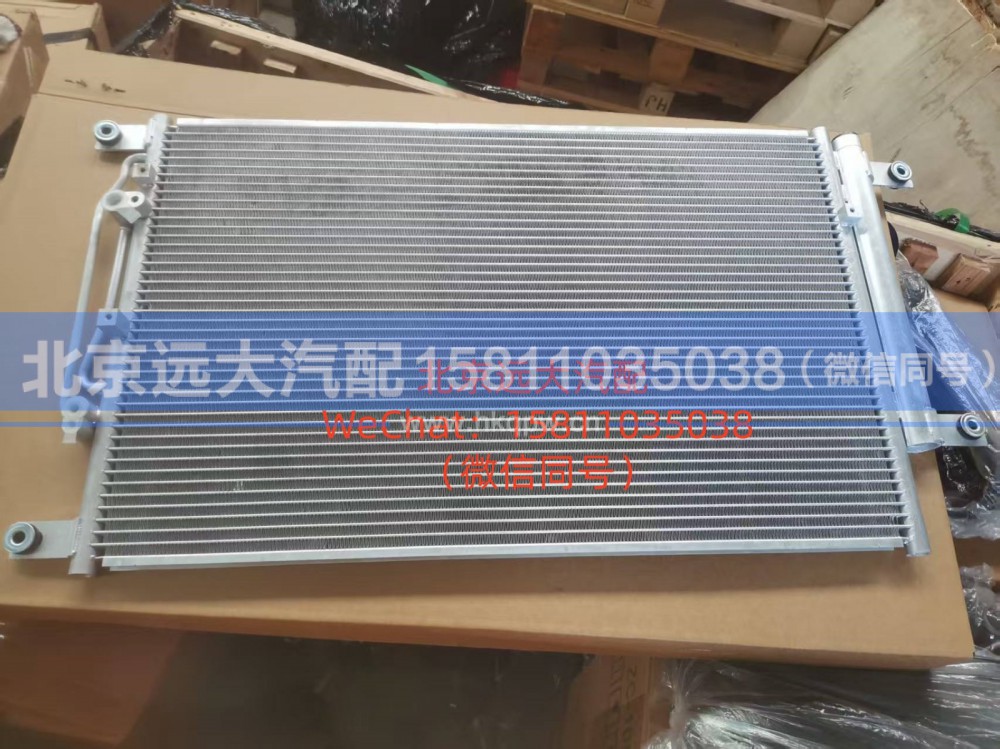 H4812024401A0冷凝器总成
