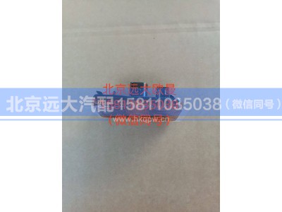 A636500000003,侧标志灯总成,北京远大汽车配件有限公司