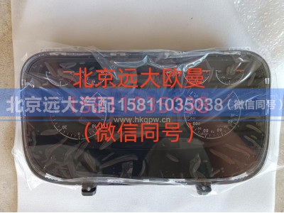 H4376010002A0,组合仪表总成,北京远大汽车配件有限公司