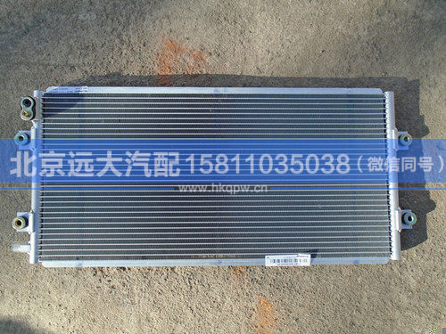 1B24981280061,,北京远大汽车配件有限公司
