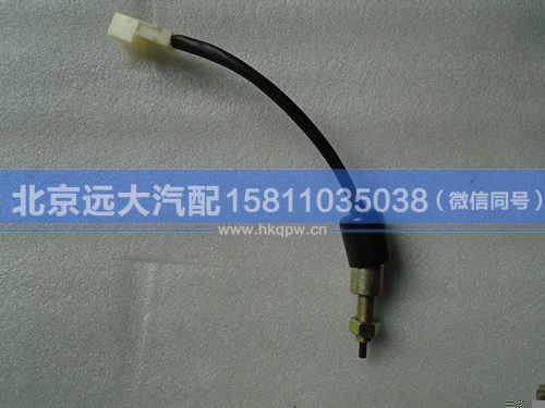 1B24937300021,,北京远大汽车配件有限公司