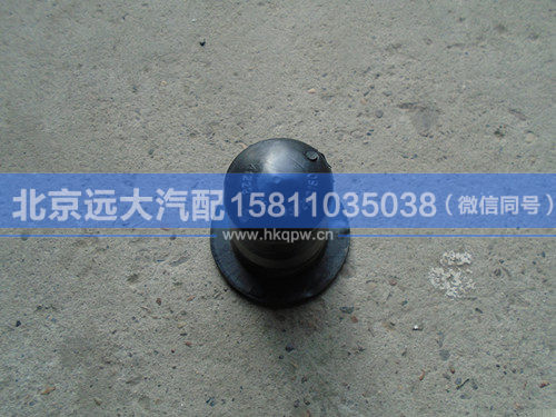 1B24950200160,,北京远大汽车配件有限公司