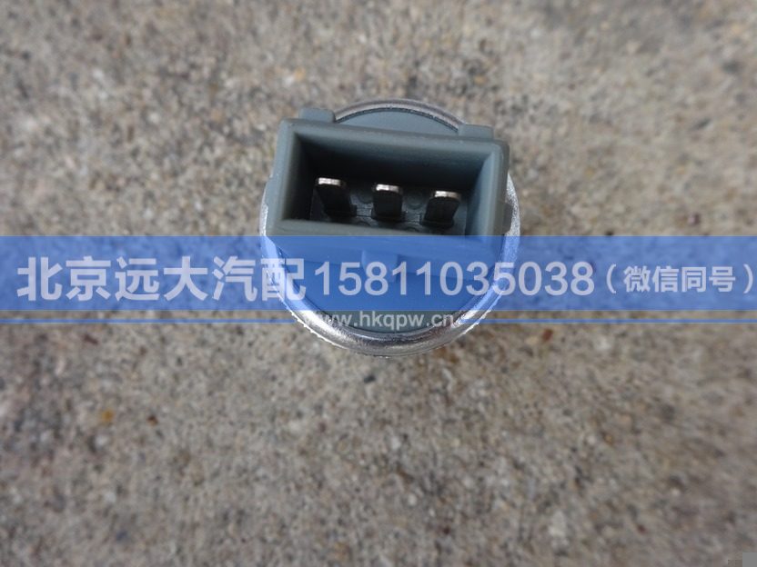 1B24237600010,,北京远大汽车配件有限公司