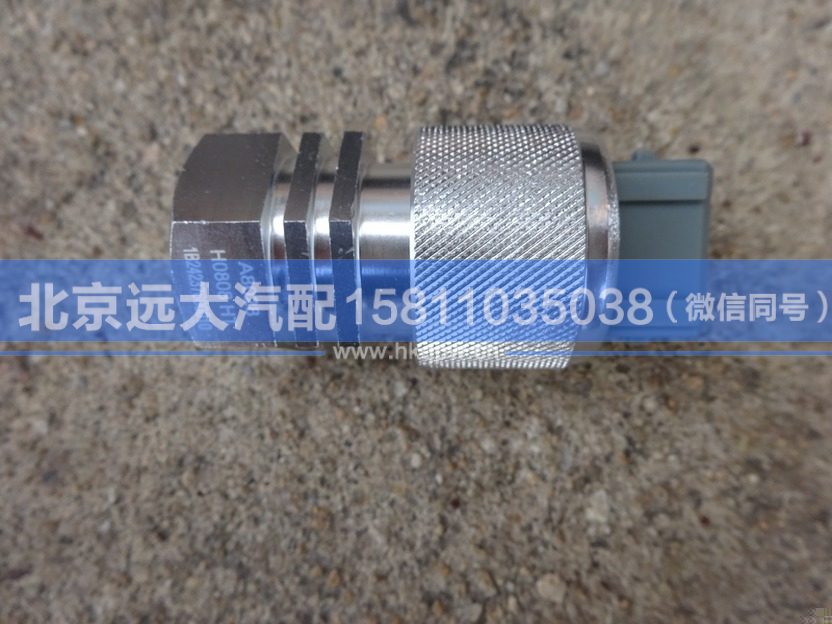 1B24237600010,,北京远大汽车配件有限公司