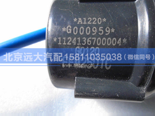 1124136700004,,北京遠(yuǎn)大汽車配件有限公司
