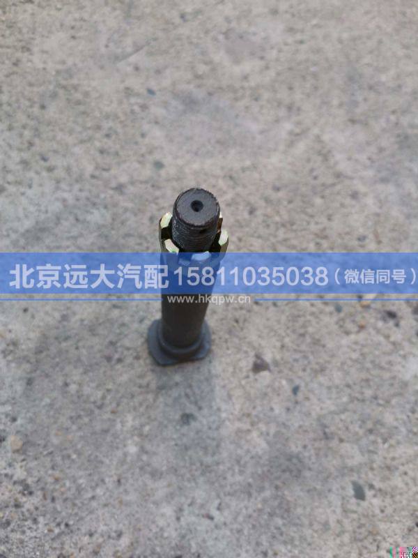 1B24950200205,,北京远大汽车配件有限公司