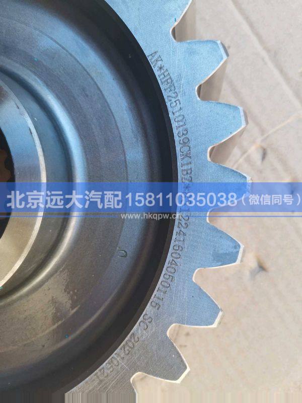 HFF2510139CK1BZ,,北京远大汽车配件有限公司
