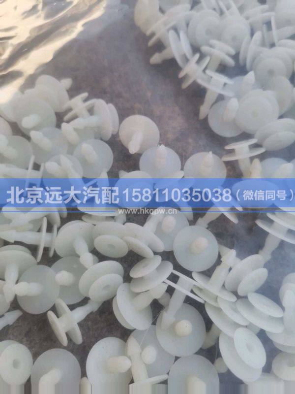 1B24954100018,,北京远大汽车配件有限公司
