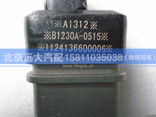 1124136600006,,北京远大汽车配件有限公司