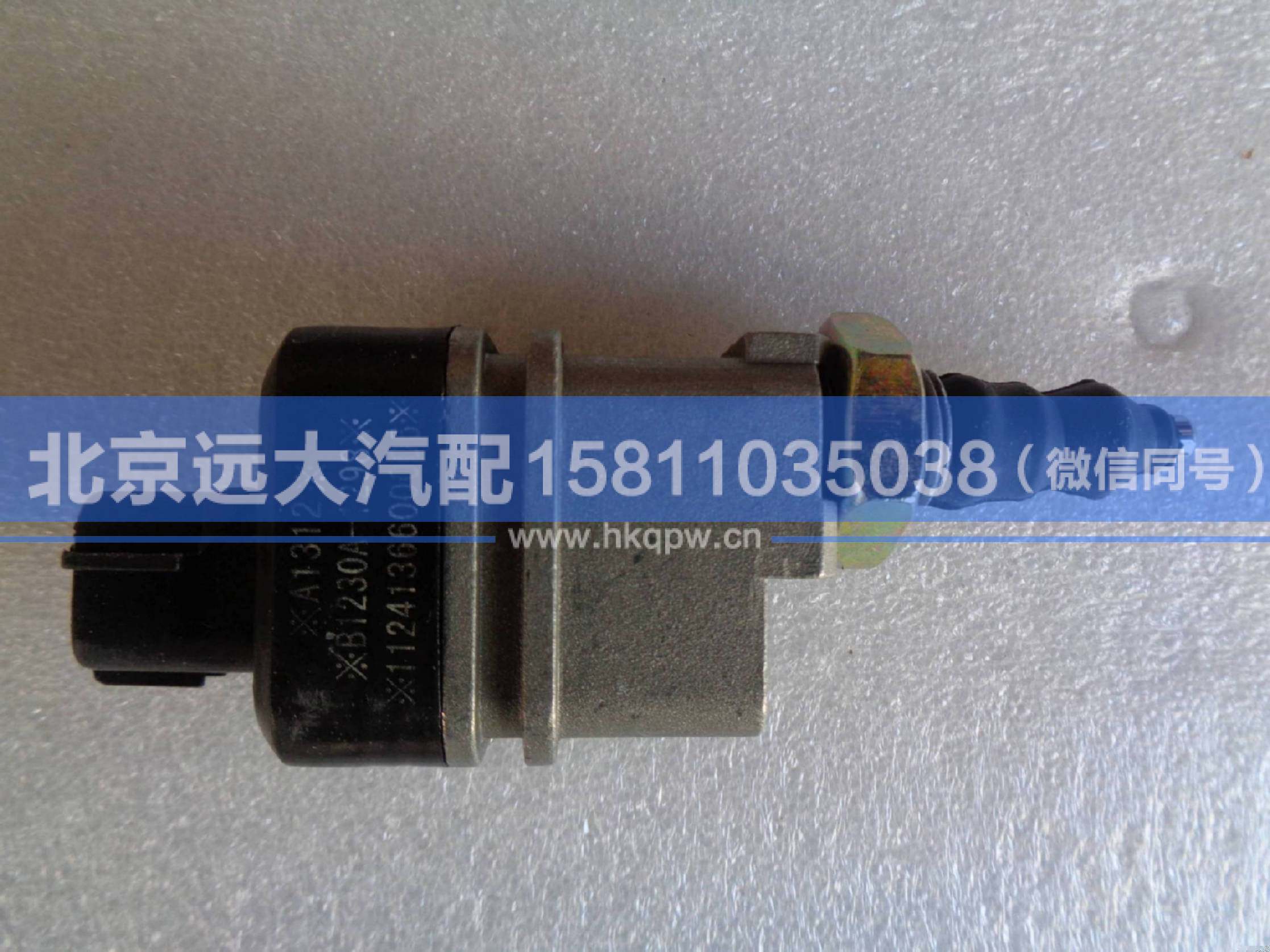 1124136600006,,北京远大汽车配件有限公司
