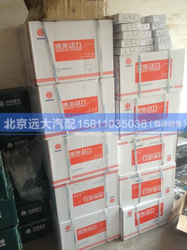 61800010125汽缸套/618图1