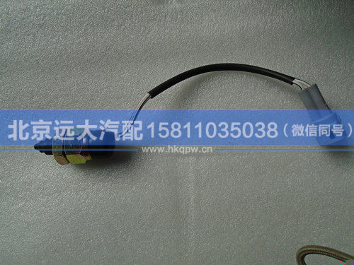 1124136600005,,北京遠大汽車配件有限公司