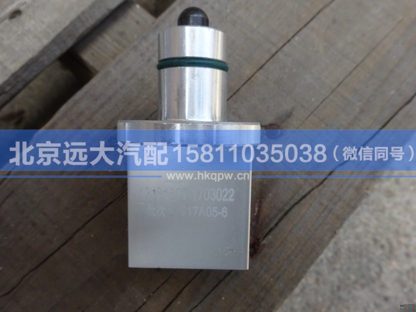 12JS160T-1703022,,北京远大汽车配件有限公司