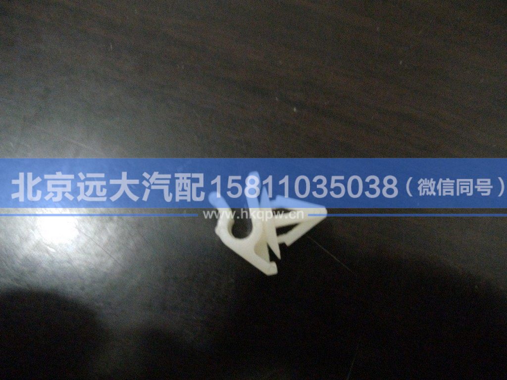 1B24953100044,,北京远大汽车配件有限公司