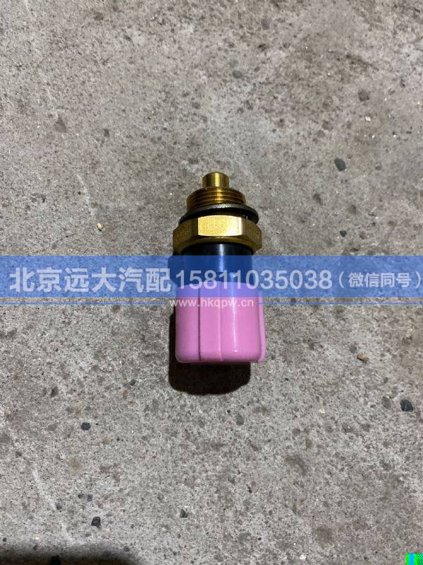 612600061653,,北京遠(yuǎn)大汽車配件有限公司