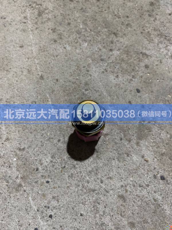 612600061653,,北京遠(yuǎn)大汽車配件有限公司