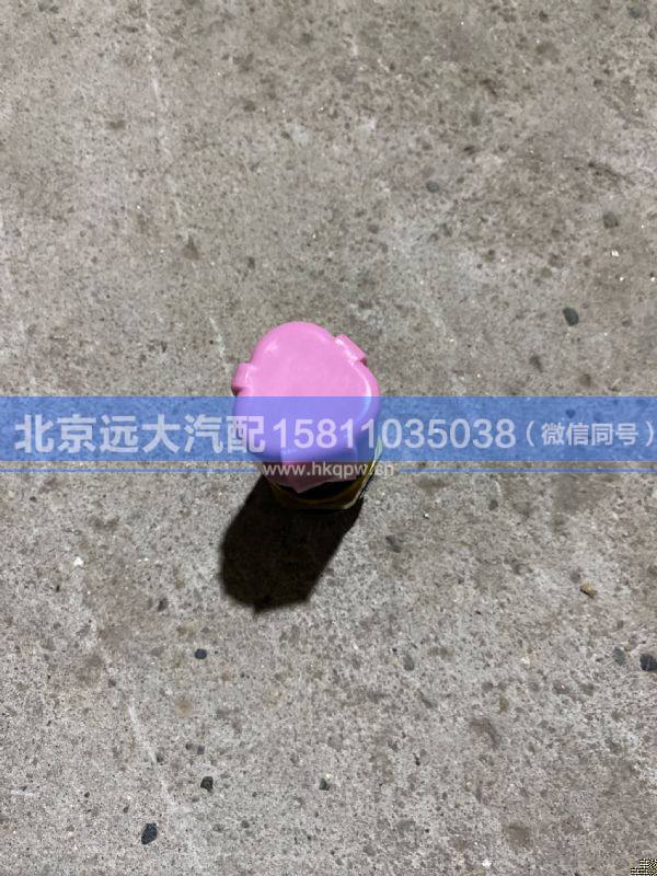 612600061653,,北京遠(yuǎn)大汽車配件有限公司