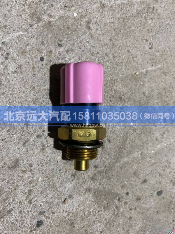 612600061653,,北京遠(yuǎn)大汽車配件有限公司