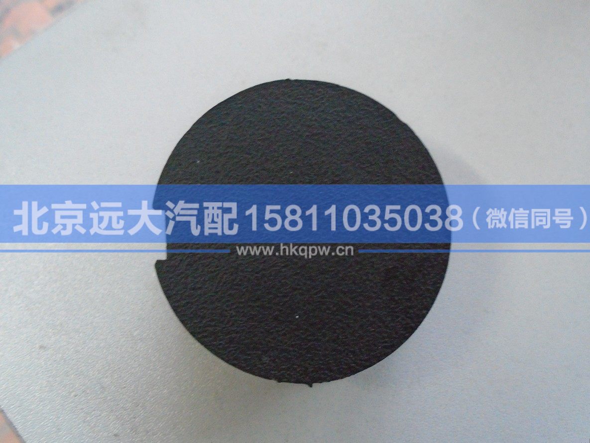 1B24953100603,,北京遠(yuǎn)大汽車配件有限公司
