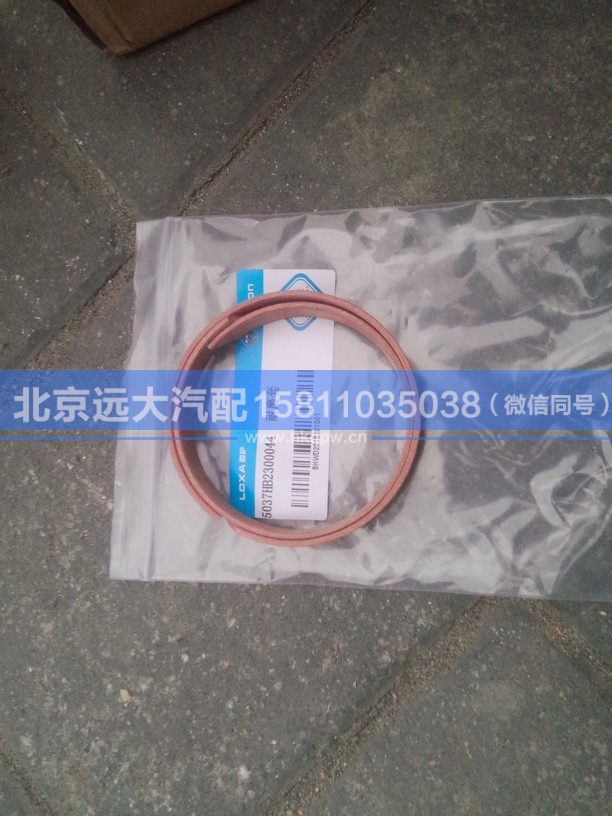 5037HB2300044,,北京遠(yuǎn)大汽車配件有限公司