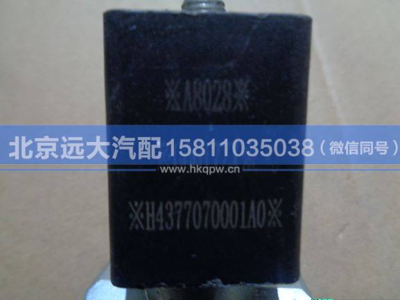 H4377070001A0,,北京远大汽车配件有限公司