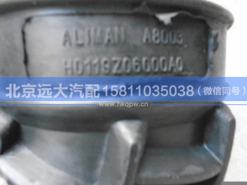 H0119206000A0,,北京远大汽车配件有限公司