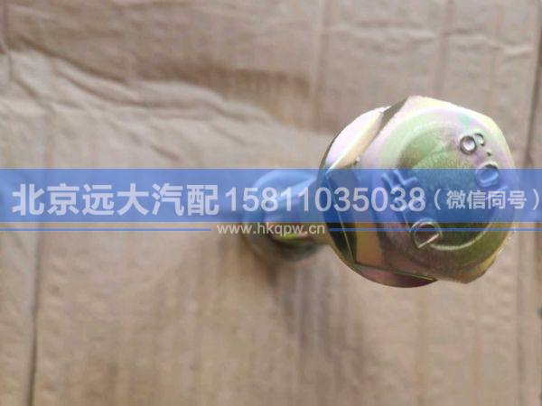 1325129502026,,北京远大汽车配件有限公司